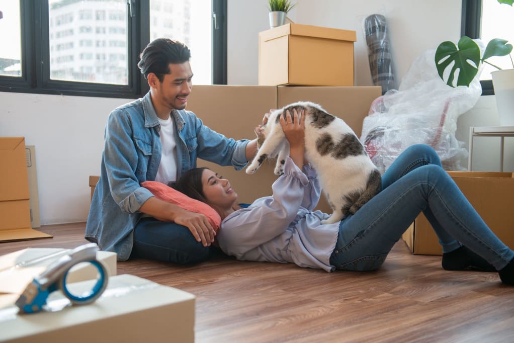 A joyful young Asian couple relaxing on the floor with their pet cat